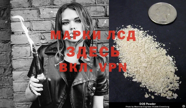 стаф Чегем