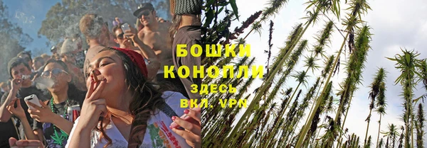 стаф Горнозаводск