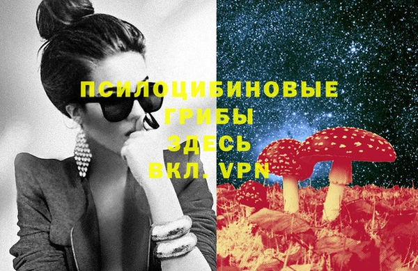 стаф Горнозаводск