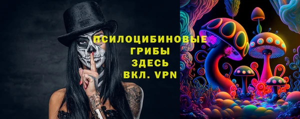 стаф Горнозаводск