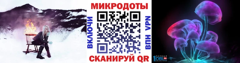 где купить наркотик  Звенигово  Псилоцибиновые грибы Psilocybe 